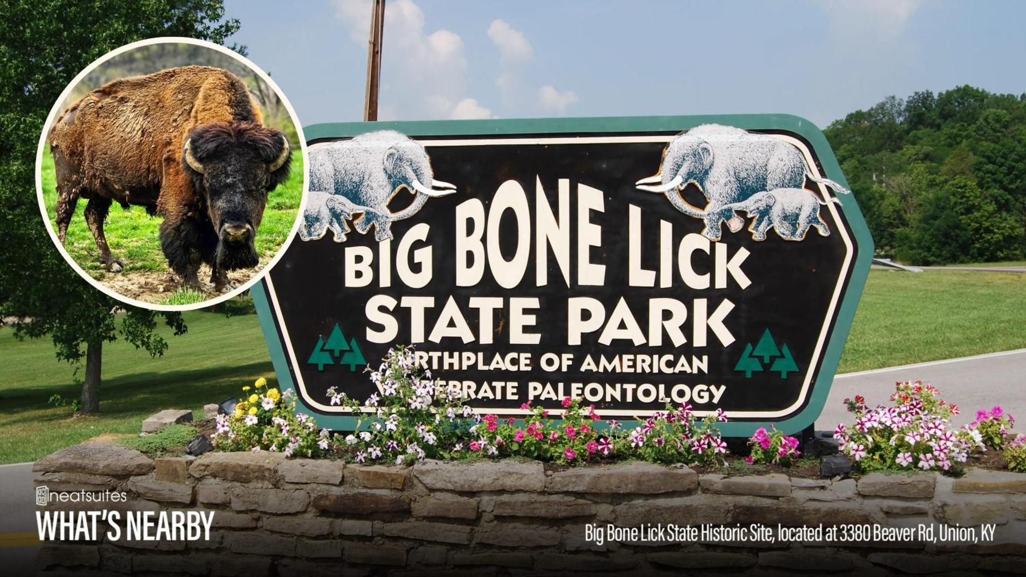 The Lodges At Eden Reserve - Pet Friendly Cabins Near Ark Williamstown Ngoại thất bức ảnh